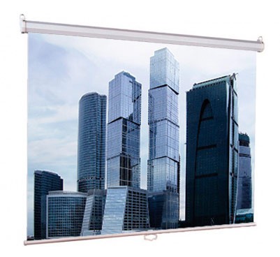 Экран настенный Lumien Экран настенный  Eco Picture 150х150 см Matte White (LEP-100101)
